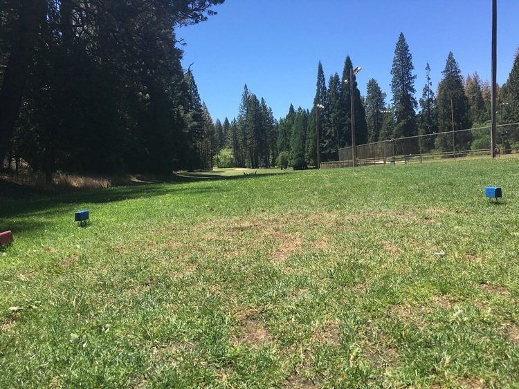 golf course